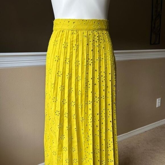EMBROIDERED PLEATED SKIRT - Picture 1 of 5